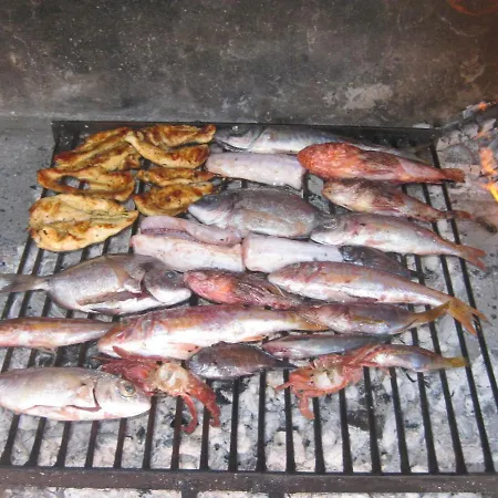 Holiday Veseli Vela Luka
